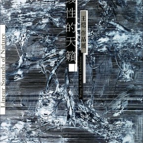 线性的天籁-王恺作品展2019